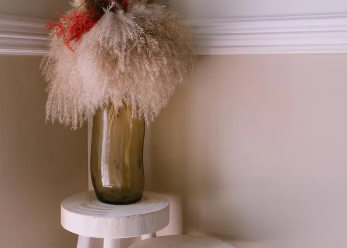 Hotel L'orangeraie D'afa